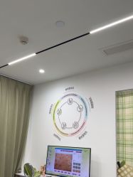 -凡碧诗毛孔清洁收细