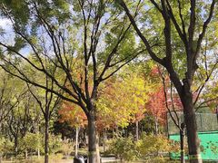 -回龙观体育文化公园