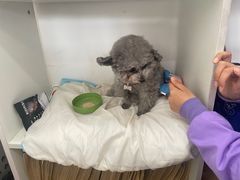 -酷宠动物医院(天通西苑店)