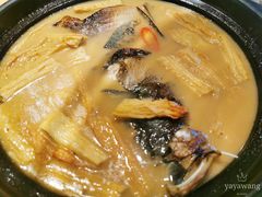 知竹鱼头-竹里馆·淮扬菜·功夫茶(老门东店)