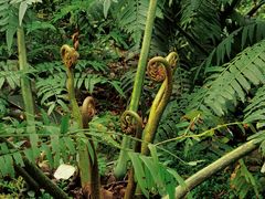 -成都市活水公园