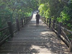 -树山生态村