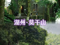 -莫干山风景区