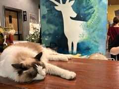 -咖法森林·咖啡  酒吧(天河店)