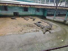 -泉州海丝野生动物世界