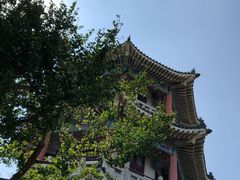 -海边的猫和咖啡馆