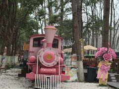 -合肥滨湖国家森林公园