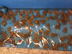 -大螃蟹海鲜餐厅