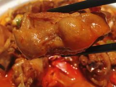 -阿五黄河大鲤鱼(海尚店)
