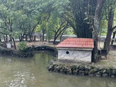-黔灵山公园