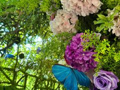 -沂蒙云瀑洞天景区