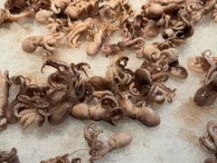 -远洲凤凰山庄臻味全日餐厅