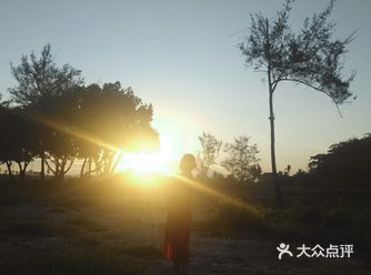 日出的沙滩简直仙境  海葵是凉拌好还是炒着吃？