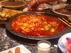 -成渝龙火锅(都江堰店)