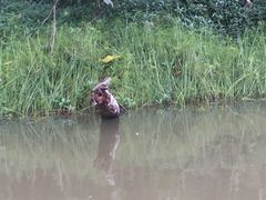 -热带雨林自然公园