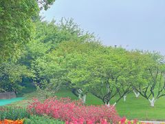 -秀丽东方