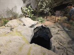 -北京周口店北京人遗址博物馆