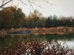 -燕郊植物园