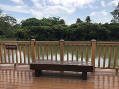 -大湾区中央湿地公园