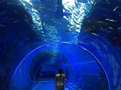 -哈尔滨波塞冬海底世界
