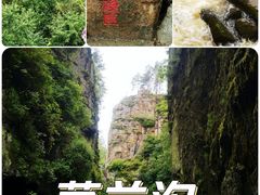 -茅兰沟国家森林公园