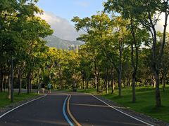 -牛岗山公园