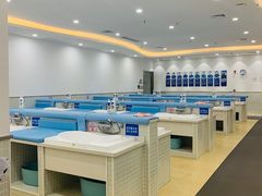 -蓝旗亲子游泳(范湖万达广场店)