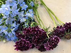 -花草间花行(法华镇路店)