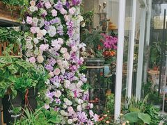 -FEI FEI FLOWER鲜花店·气球派对·宝宝宴布置(虹口德必运动Loft店)