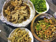 -鲤鱼塘农家山庄