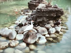 -鹅滋道(甘坑古镇店)