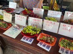 -马陆小张葡萄园农家乐