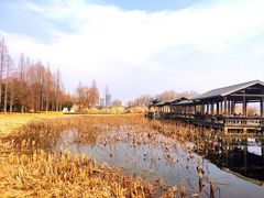 -渤公岛生态公园