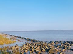 -南汇嘴观海公园