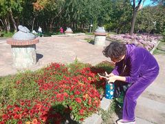 -黑龙江省森林植物园
