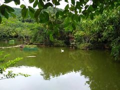 -呀诺达热带雨林