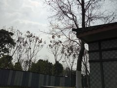 -新津老码头旅游小镇