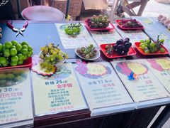 -马陆小张葡萄园农家乐