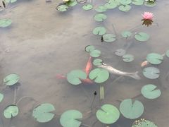 -中国客家博物馆