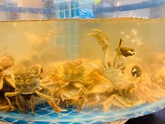 -汉来海港·海鲜自助餐厅(上海七宝领展广场店)