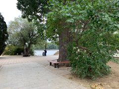 -二一九公园