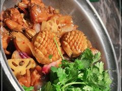 -禄婶鸡煲·打边炉