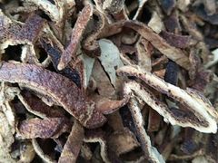 -上海市长宁区天山中医医院