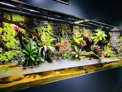 -蛋小鬼甜品工厂(荼薇花园店)