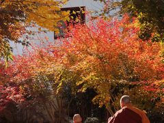 -径山寺