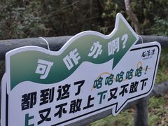 -龙湾潭国家森林公园