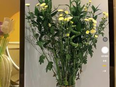 -循礼门鲜花花市(武汉循礼门店)