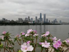 -珠江夜游广州塔·中大码头