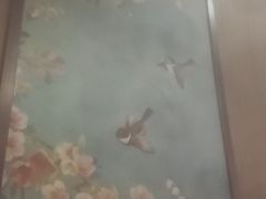 -素心斋素食餐厅