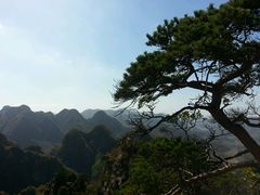 -大连天门山国家森林公园